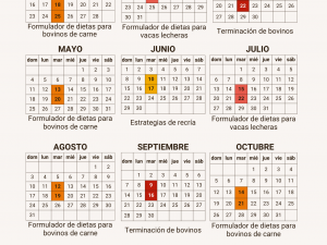 0_1_agenda-2025.png